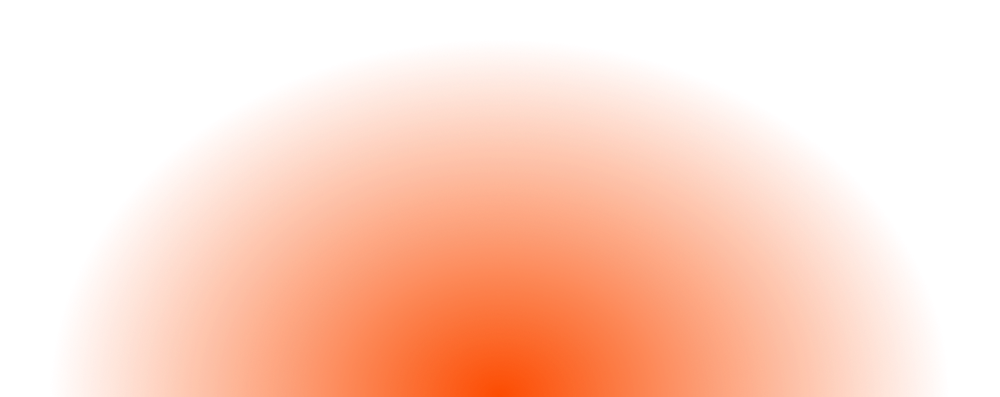 The Dolphins Players