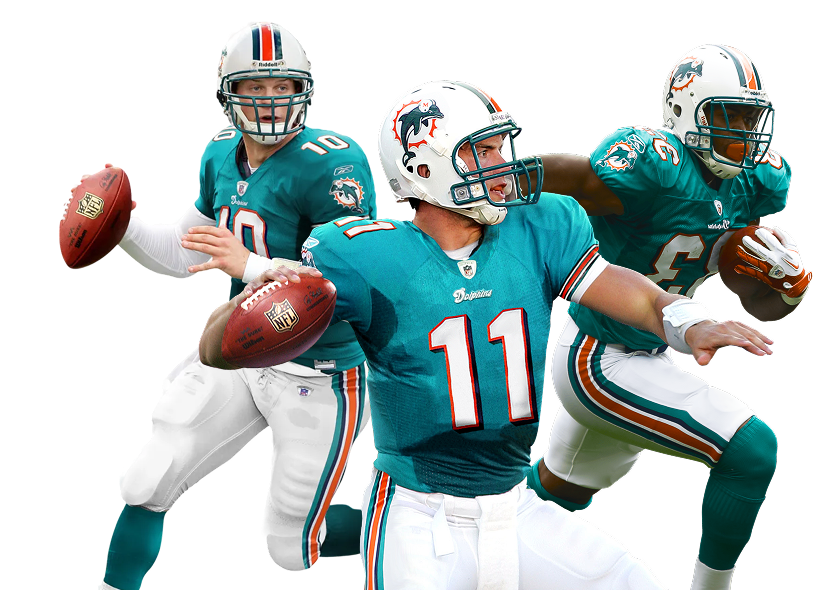 The Dolphins Players